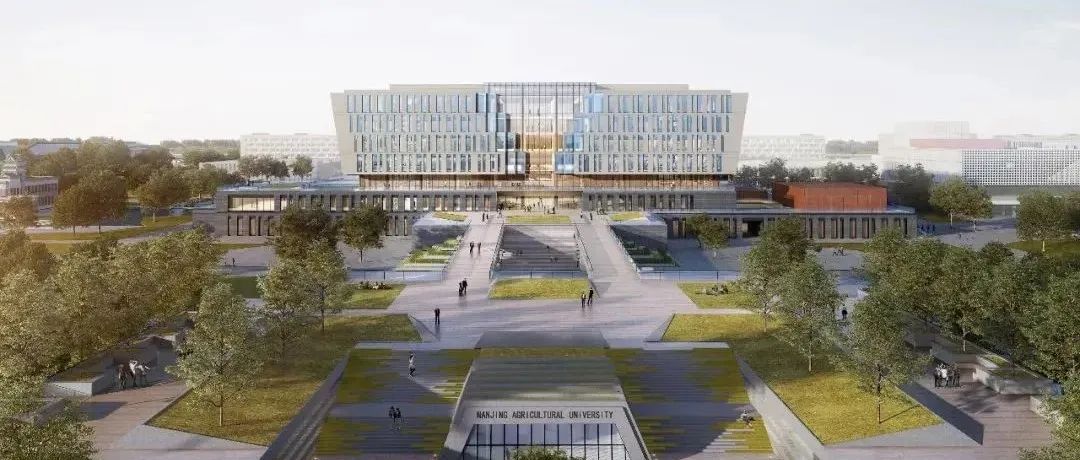 南京农业大学江北新校区一期工程章之汶图书馆顺利实现封顶